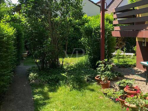 Garten hinten - 
