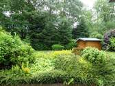 Garten mit Hütte - 