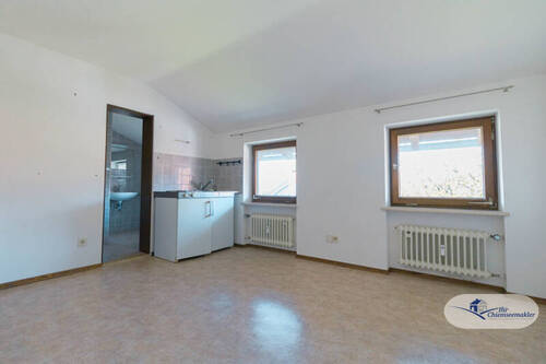 Zimmer DG 2 - 