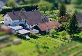 Übersicht - 7 Zimmer Mehrfamilienhaus, Wohnhaus zum Kaufen in Bühl