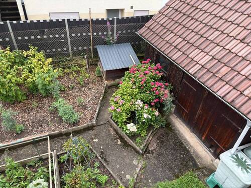 Blick in den Garten - 