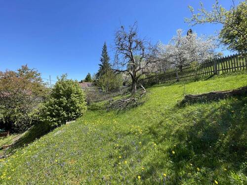 Garten - 
