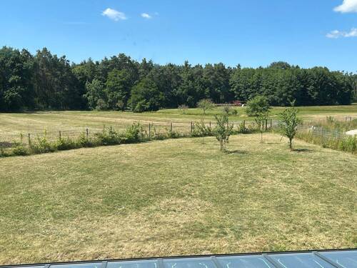Bild 19 - 