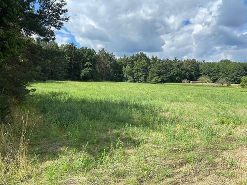 Gartenblick ins Grüne - 