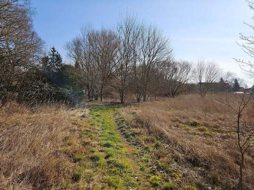 An der NW-Ecke Richtung Osten Weg.jpg - 