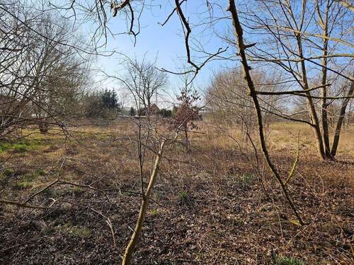 Am Weg Blick Richtung SSW.jpg - 