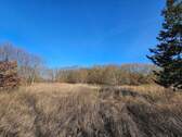 An der SO Ecke Richtung N Wald.jpg - 