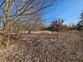 An der SW Ecke Richtung Norden.jpg - 