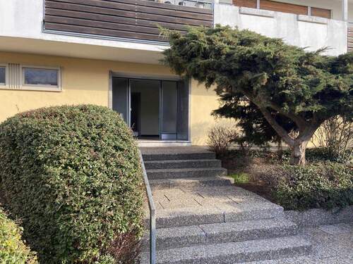 Hauseingang m Tuja - 4 Zimmer Etagenwohnung zum Kaufen in Nürnberg