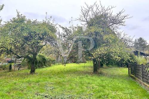 Hinterer Abschnitt mit Baumbestand - Baugrundstück in ruhiger Lage von Hülzweiler - ideal für eine Doppelhaushälfte