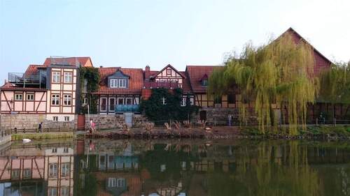 004020156800_302_189_04092024203811807 - 