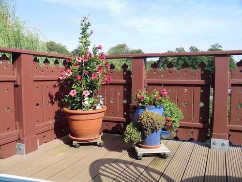 004020156800_302_189_22092022105713351 - 4 Zimmer Reihenmittelhaus zum Kaufen in Halberstadt