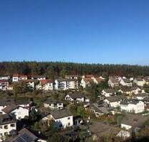 KL-Wiesenthalerhof: Renovierte 4 Zimmer-Wohnung mit Balkon, tollem Ausblick und Garage - Kaiserslautern Innenstadt