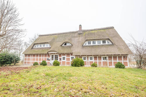 Seitenansicht - 