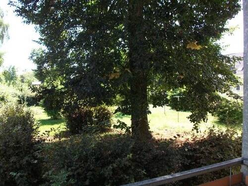 Blick vom Balkon - 3 Zimmer Etagenwohnung in Chemnitz