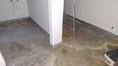 IMG-20260203-WA0017.jpeg - 