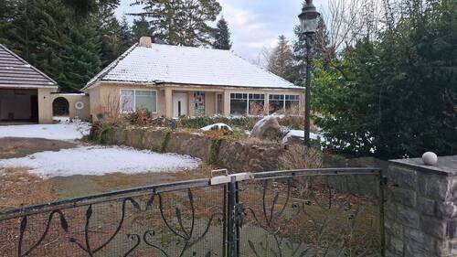 IMG-20260203-WA0002.jpeg - 