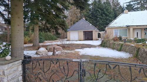IMG-20260203-WA0004.jpeg - 