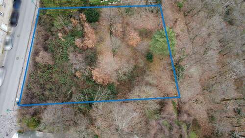 Luftaufnahme Grundstück - Nah - Grundstück zum Kaufen in Bad Dürkheim