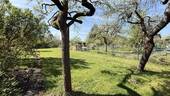 Garten Ansicht II - 