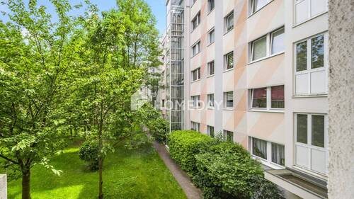 Ausblick - 