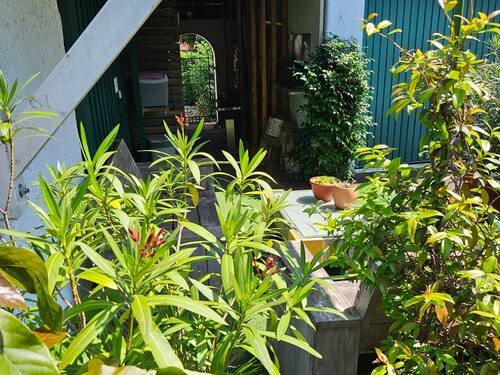 20230626_114234.jpg - 