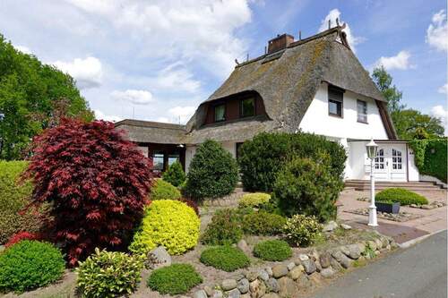 Seitenansicht mit Terrasse und Auffahrt - 