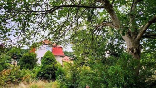 3 - Mehrfamilienhaus, Wohnhaus mit 121,80 m&sup2; in Meineweh zum Kaufen