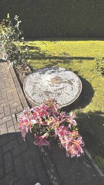 Brunnen - 
