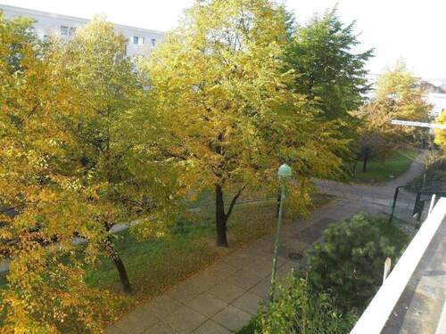 Aussicht im Sommer.JPG - 