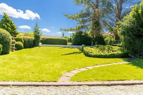 Blick in den Garten - 