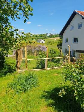 Garten - 