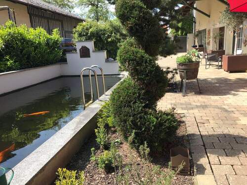 Tauchbecken - 