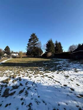 PHOTO-2026-01-21-14-43-10_3 - 