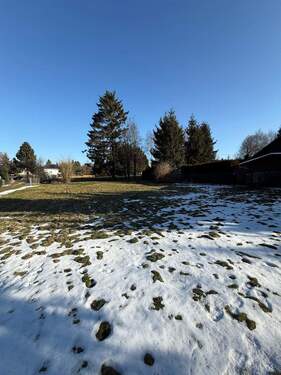 PHOTO-2026-01-21-14-43-10_4 - 