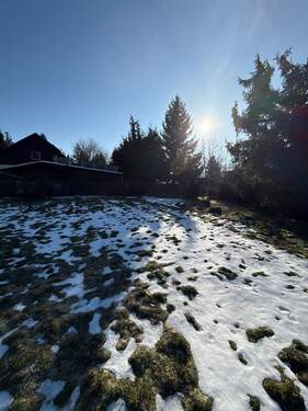 PHOTO-2026-01-21-14-43-10_5 - 