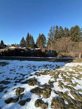 PHOTO-2026-01-21-14-43-10_6 - 