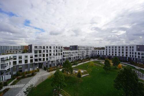 Blick aus dem Balkon - 