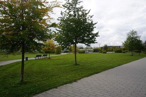 Grünanlage - 