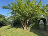 060F-FD931068-PM-68A306FF.jpeg - 