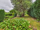 Gartenimpressionen - 
