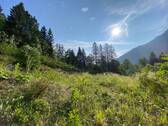 Alpen_Immo_Grundstück_Hütte_Neuhaus_05 - Grundstück zum Kaufen in Schliersee