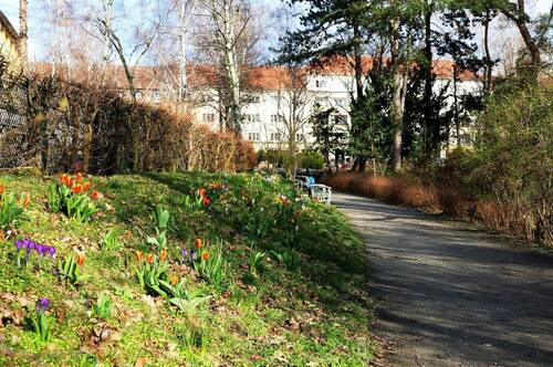 nahe Brixplatz - Nahe Brixplatz Westend: bezugsfreies, gepflegtes, teilmodernisiertes, gemütliches Altbauapartment