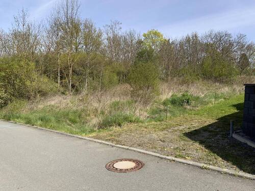 Ansicht von Straße - Grundstück zum Kaufen in Nimritz
