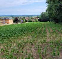 Großzügig bebaubares Grundstück mit Panoramablick - Holzheim Eppisburg