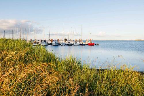 Marina - 