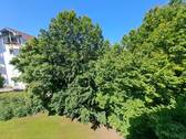 Garten b - 2 Zimmer Etagenwohnung zum Kaufen in Kaufbeuren