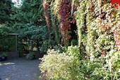 Garten Bild IV - 