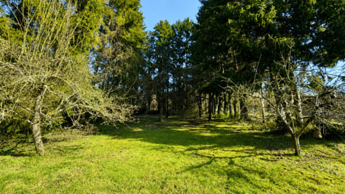 Garten - 