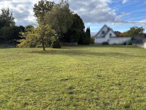 Bild 3 - Grundstück in Detmold / Pivitsheide
